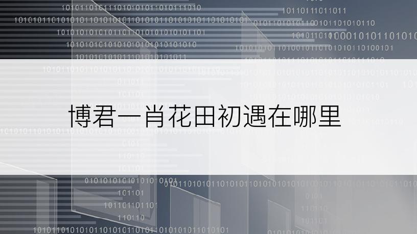 博君一肖花田初遇在哪里