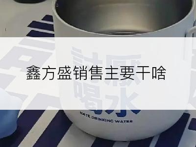 鑫方盛销售主要干啥