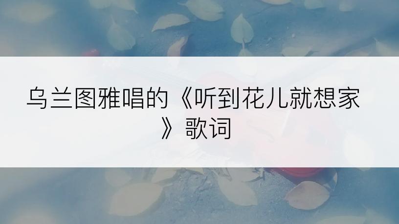 乌兰图雅唱的《听到花儿就想家》歌词