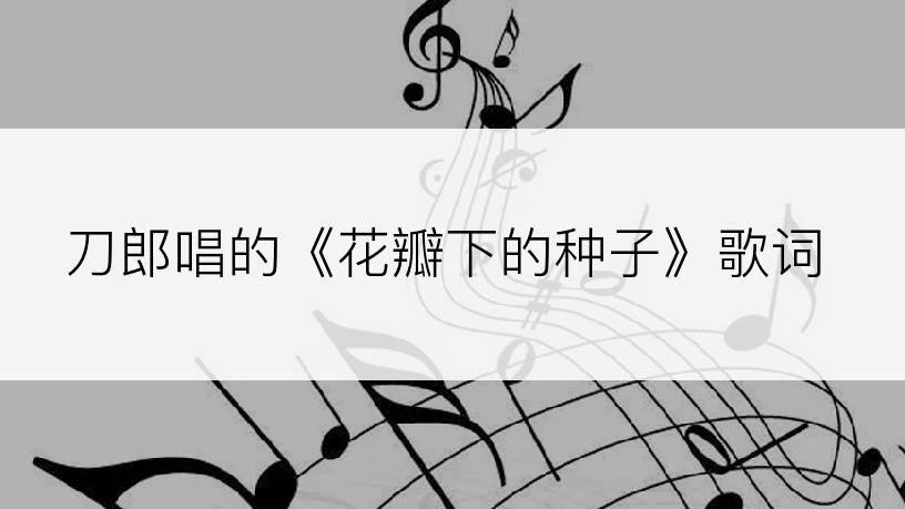 刀郎唱的《花瓣下的种子》歌词