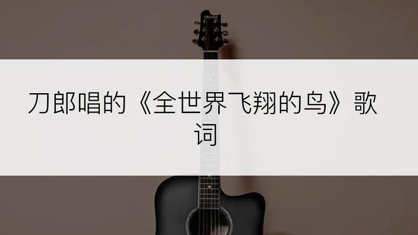刀郎唱的《全世界飞翔的鸟》歌词