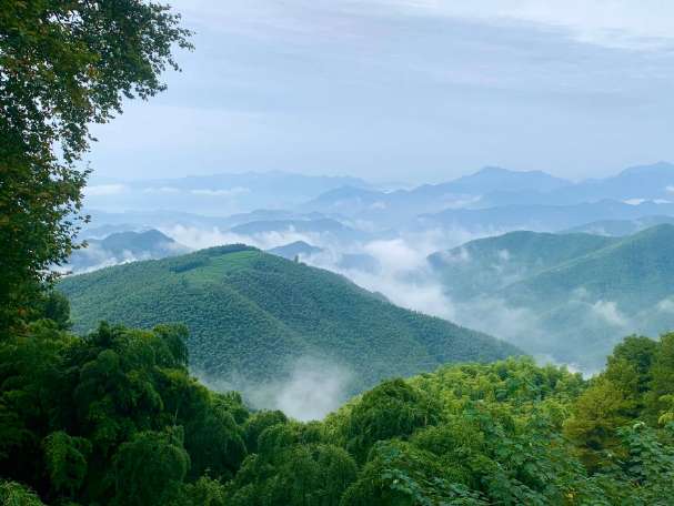 莫干山旅游介绍