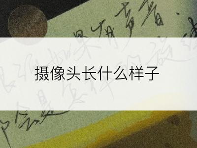 摄像头长什么样子