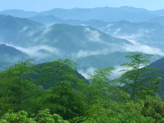 莫干山亭，台，牌坊