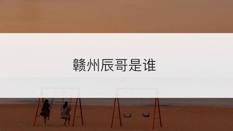 赣州辰哥是谁