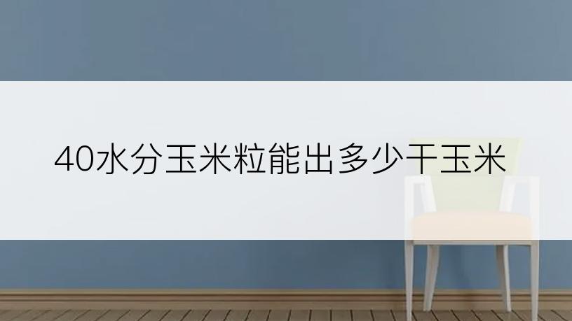 40水分玉米粒能出多少干玉米