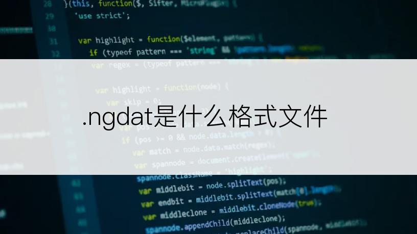 .ngdat是什么格式文件