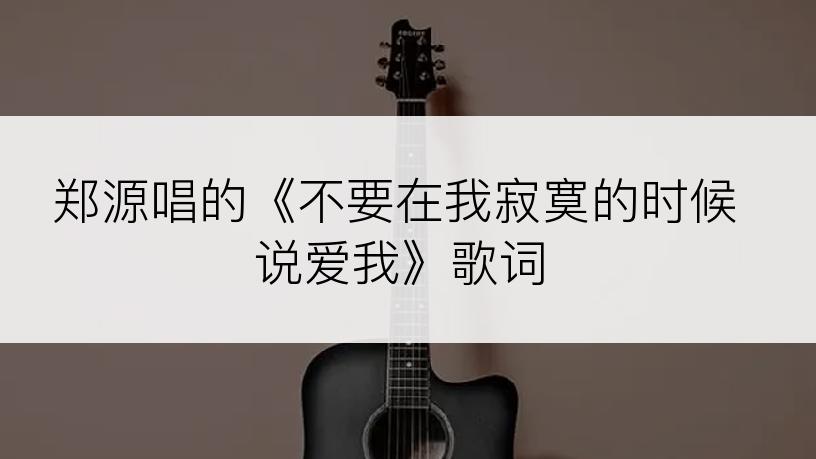 郑源唱的《不要在我寂寞的时候说爱我》歌词