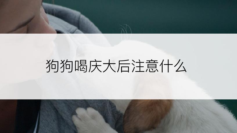 狗狗喝庆大后注意什么
