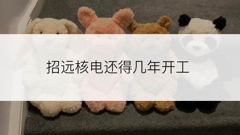招远核电还得几年开工