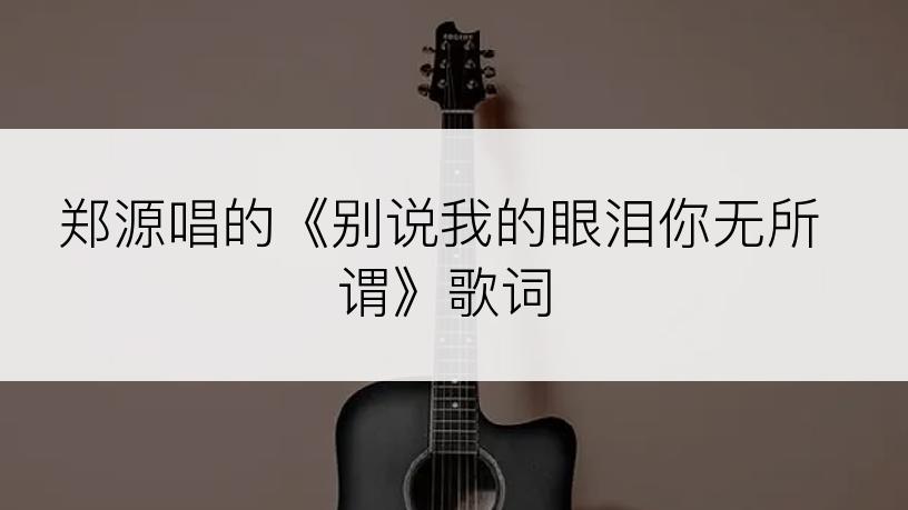 郑源唱的《别说我的眼泪你无所谓》歌词