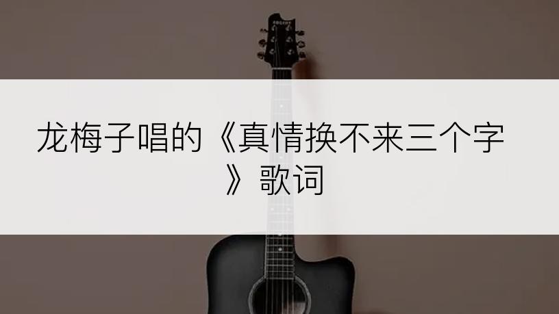 龙梅子唱的《真情换不来三个字》歌词