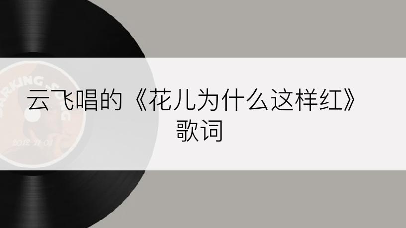 云飞唱的《花儿为什么这样红》歌词