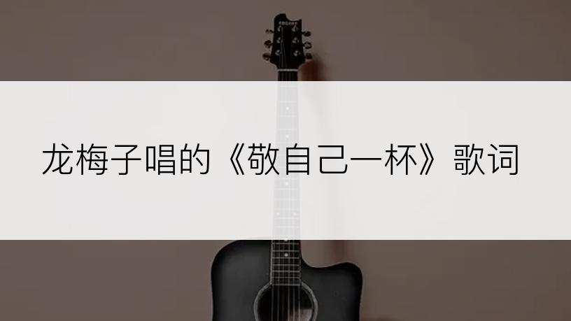 龙梅子唱的《敬自己一杯》歌词