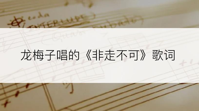 龙梅子唱的《非走不可》歌词