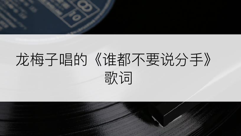 龙梅子唱的《谁都不要说分手》歌词