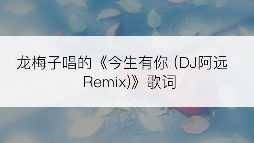 龙梅子唱的《今生有你 (DJ阿远  Remix)》歌词