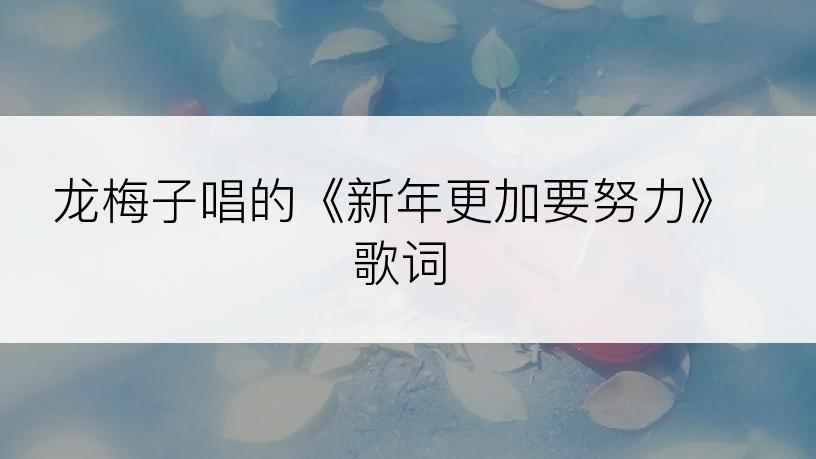龙梅子唱的《新年更加要努力》歌词