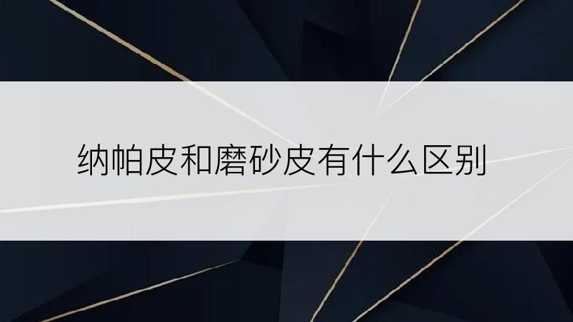 纳帕皮和磨砂皮有什么区别