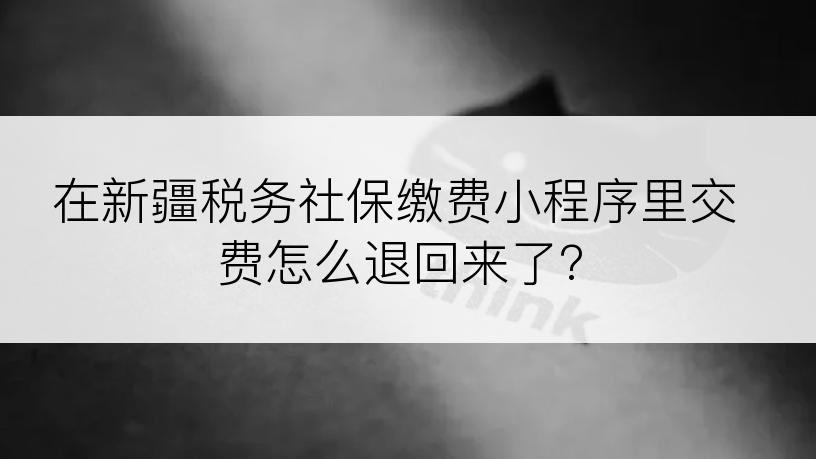 在新疆税务社保缴费小程序里交费怎么退回来了?