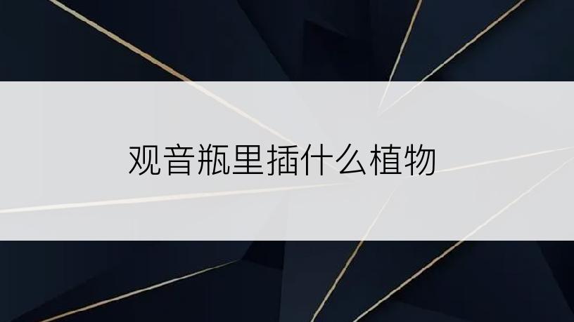 观音瓶里插什么植物