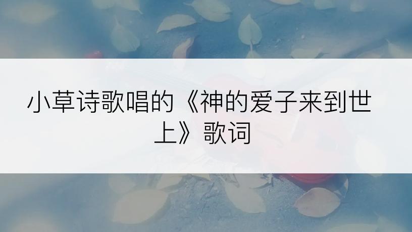 小草诗歌唱的《神的爱子来到世上》歌词