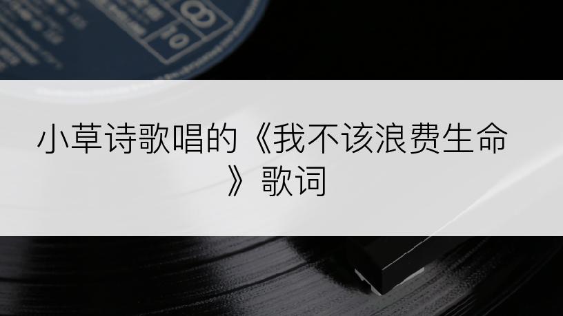小草诗歌唱的《我不该浪费生命》歌词