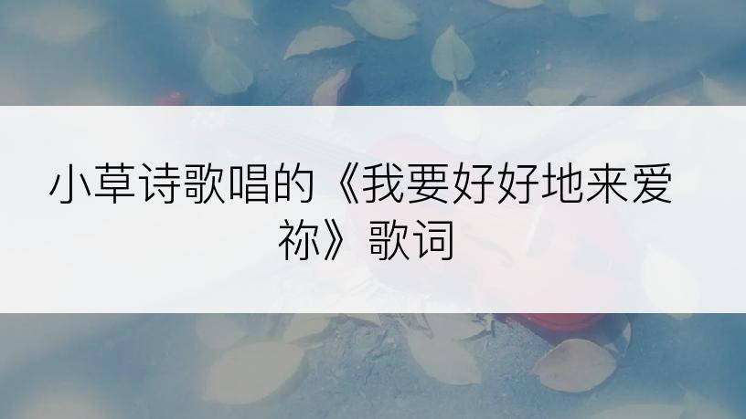 小草诗歌唱的《我要好好地来爱祢》歌词