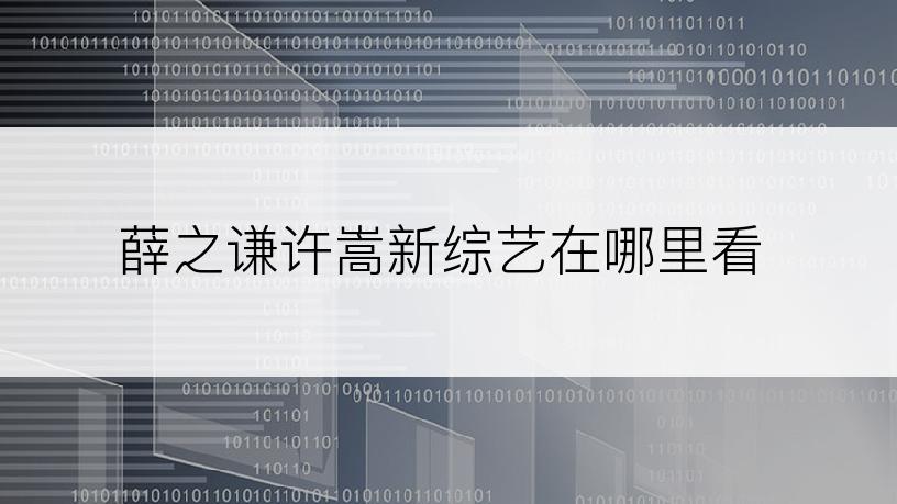 薛之谦许嵩新综艺在哪里看