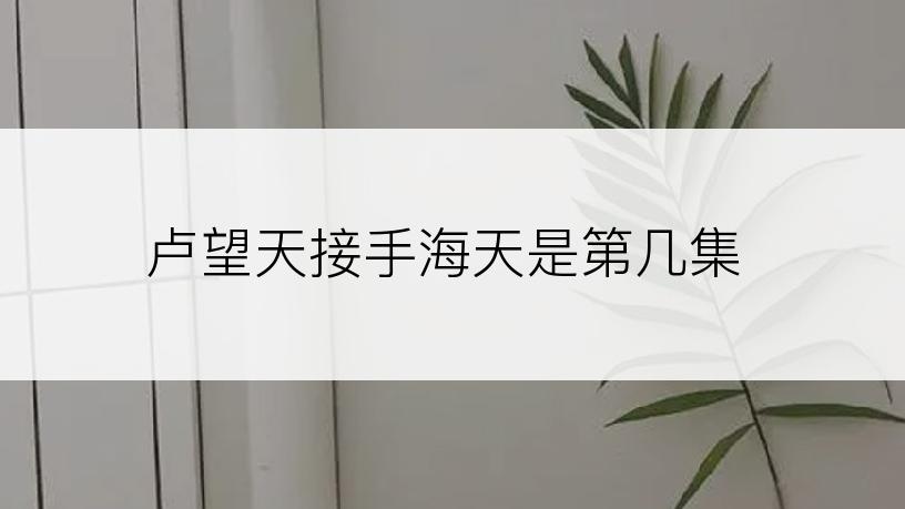 卢望天接手海天是第几集