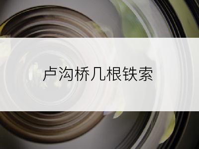 卢沟桥几根铁索