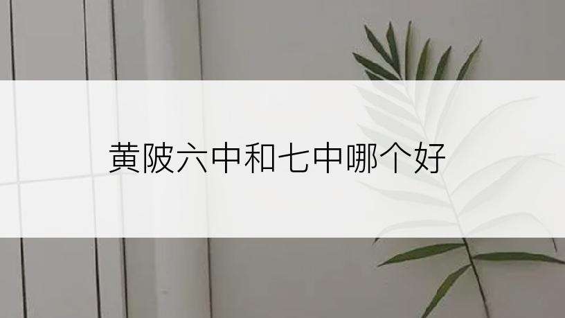 黄陂六中和七中哪个好