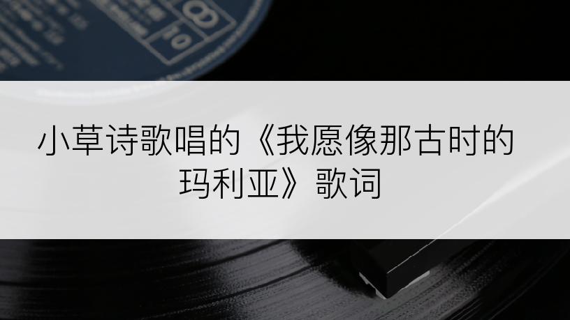 小草诗歌唱的《我愿像那古时的玛利亚》歌词
