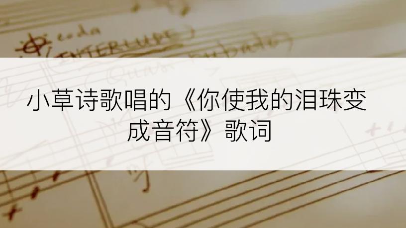 小草诗歌唱的《你使我的泪珠变成音符》歌词