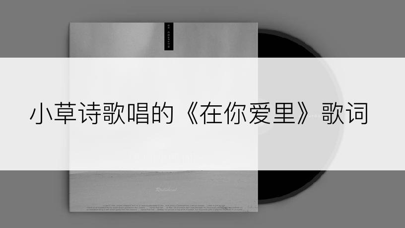 小草诗歌唱的《在你爱里》歌词