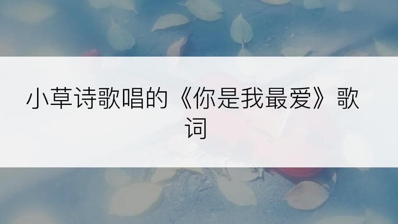 小草诗歌唱的《你是我最爱》歌词