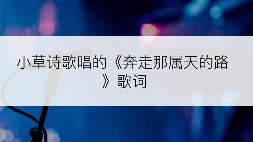 小草诗歌唱的《奔走那属天的路》歌词