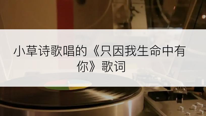 小草诗歌唱的《只因我生命中有你》歌词