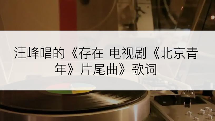 汪峰唱的《存在 电视剧《北京青年》片尾曲》歌词
