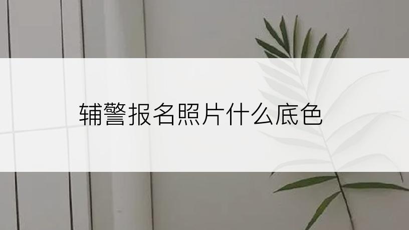辅警报名照片什么底色
