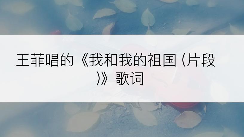 王菲唱的《我和我的祖国 (片段)》歌词