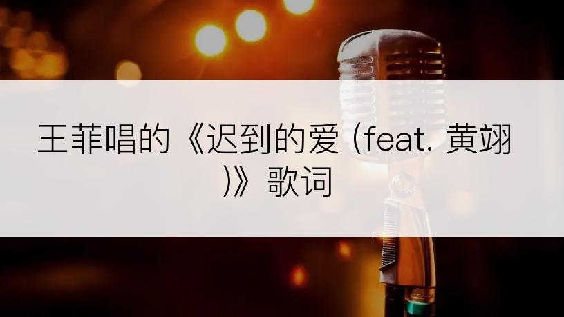 王菲唱的《迟到的爱 (feat. 黄翊)》歌词