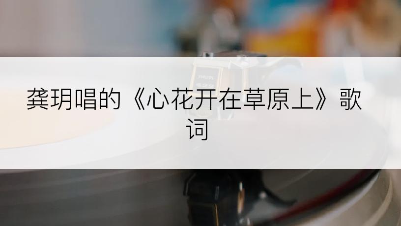 龚玥唱的《心花开在草原上》歌词