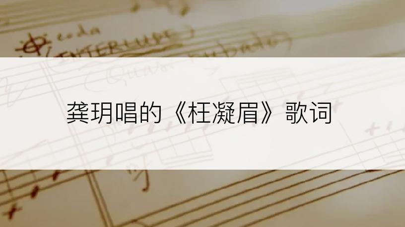 龚玥唱的《枉凝眉》歌词