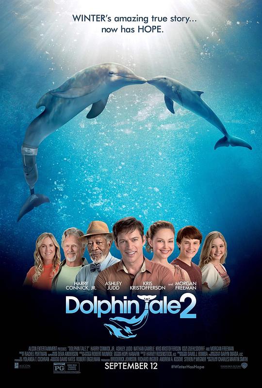 《海豚的故事2/一只海豚的传说2》讲的什么剧情