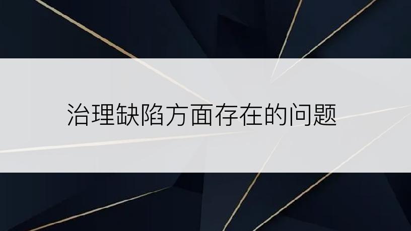 治理缺陷方面存在的问题