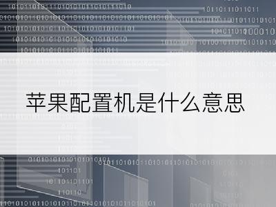 苹果配置机是什么意思