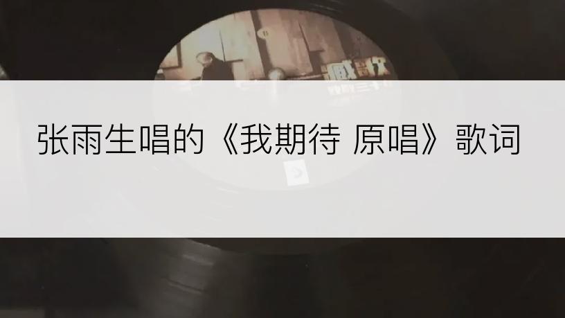 张雨生唱的《我期待 原唱》歌词