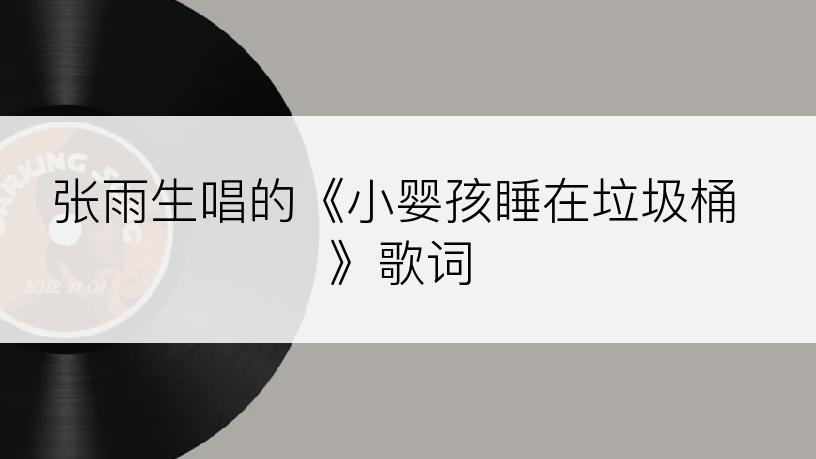 张雨生唱的《小婴孩睡在垃圾桶》歌词