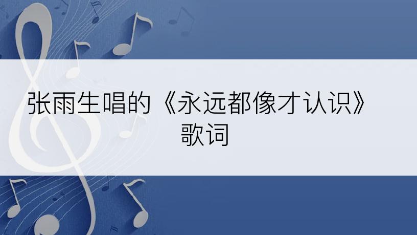 张雨生唱的《永远都像才认识》歌词